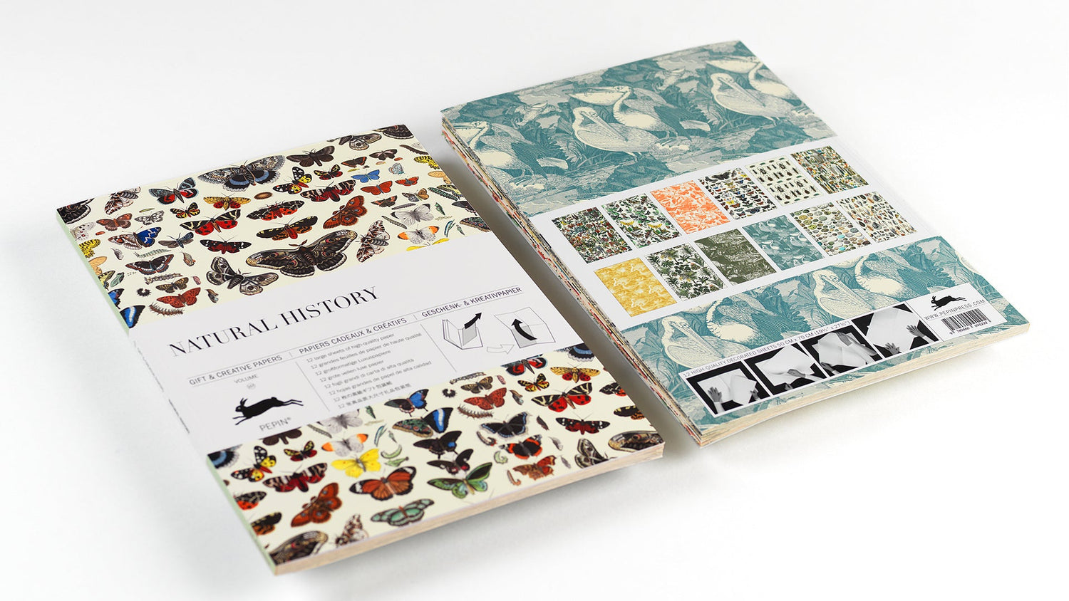 Book-wrapping-paper-natural-history-front-back-cover
