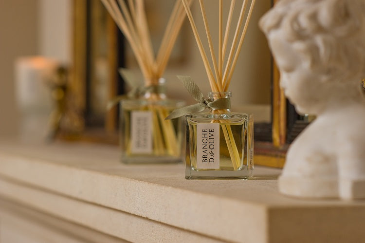Branche d'Olive Scented Candle Garrigue