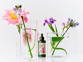 Floral arrangements in glass vases with a bottle of 'Cut Flower Elixir' on a white background
