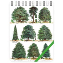 Illustrations of different types of trees with a ruler at the top for scale.