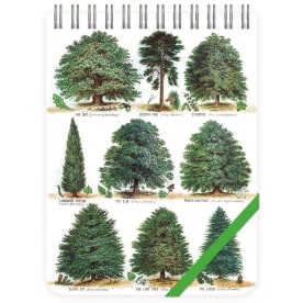Illustrations of different types of trees with a ruler at the top for scale.