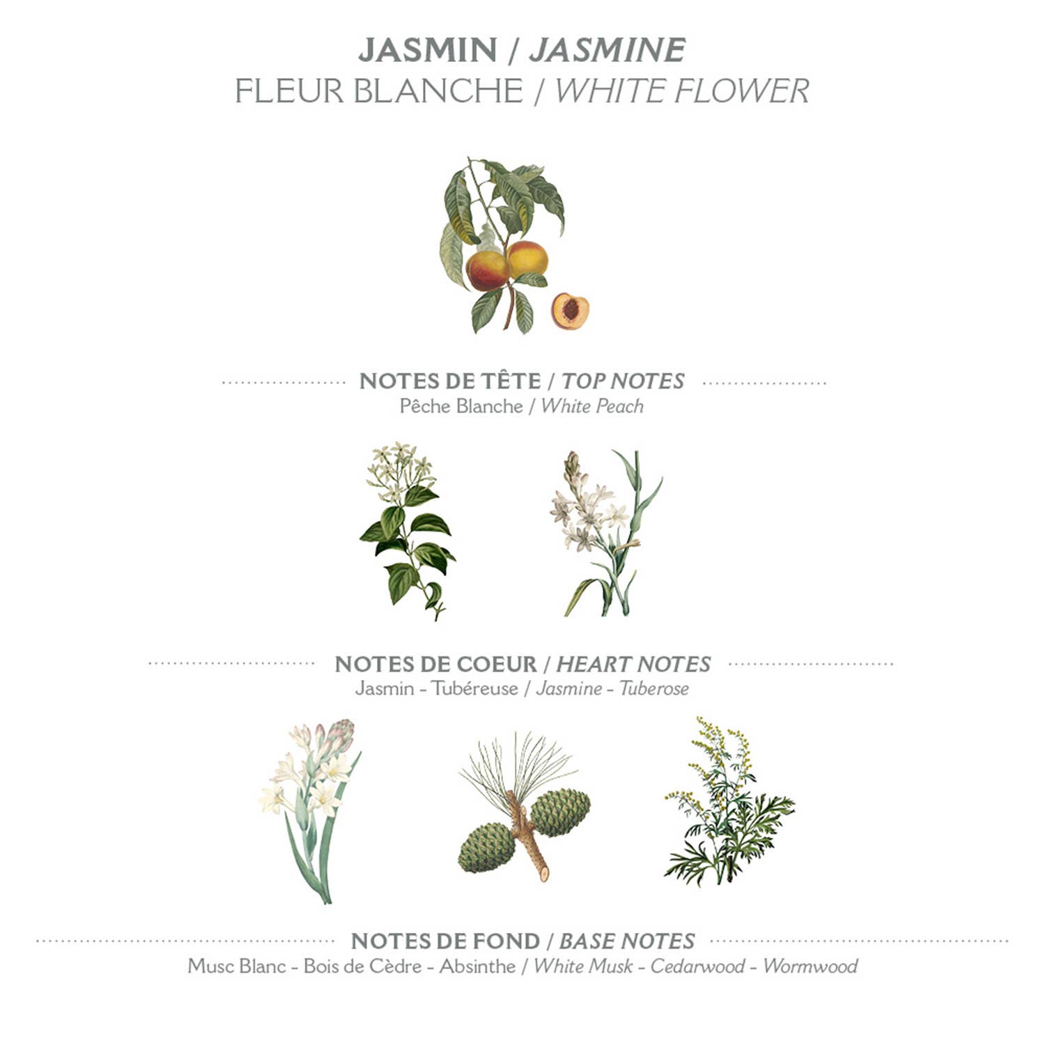 Panier Des Sens Soap Precious Jasmine