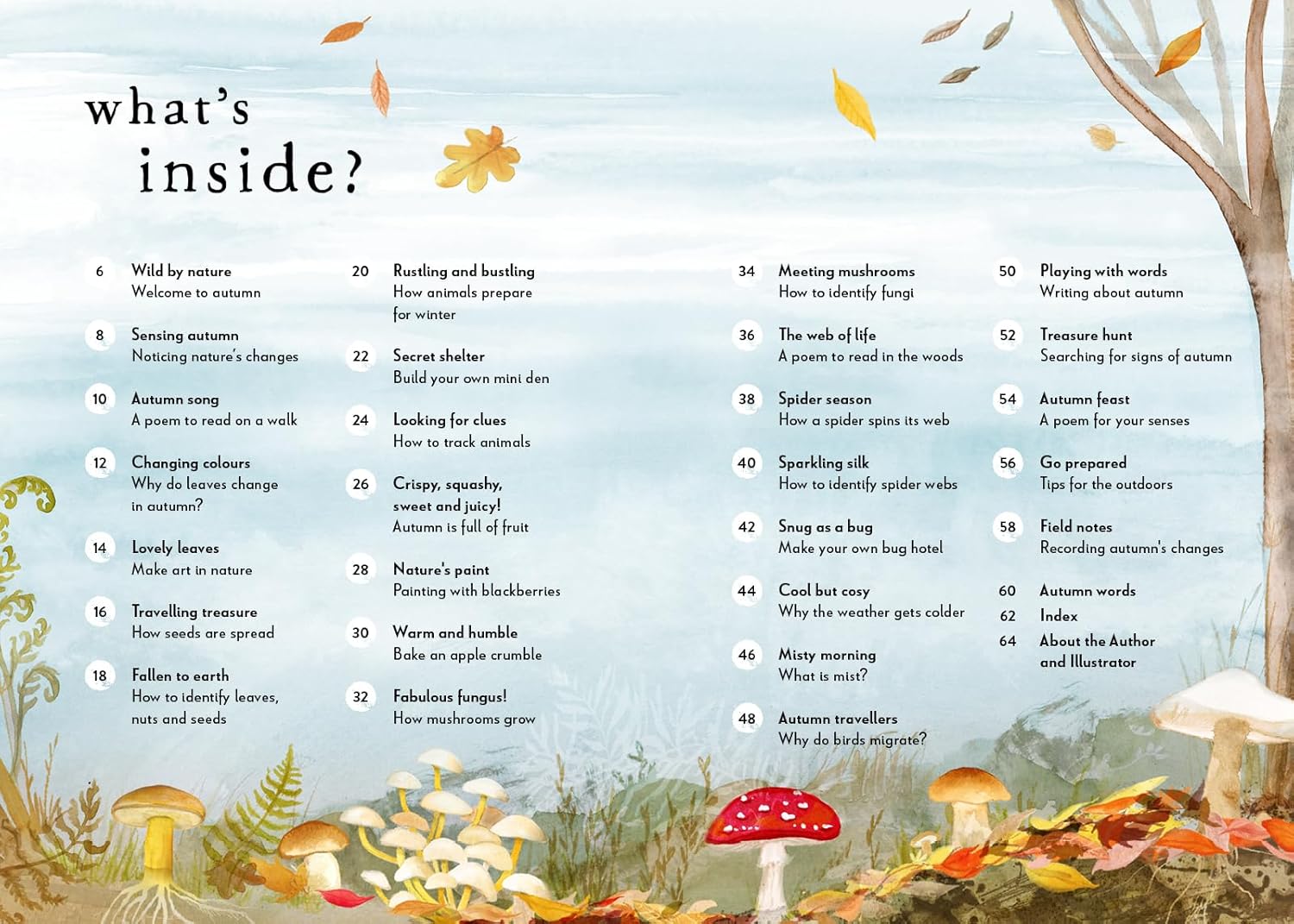 A Field Guide to Autumn: Play and learn in nature