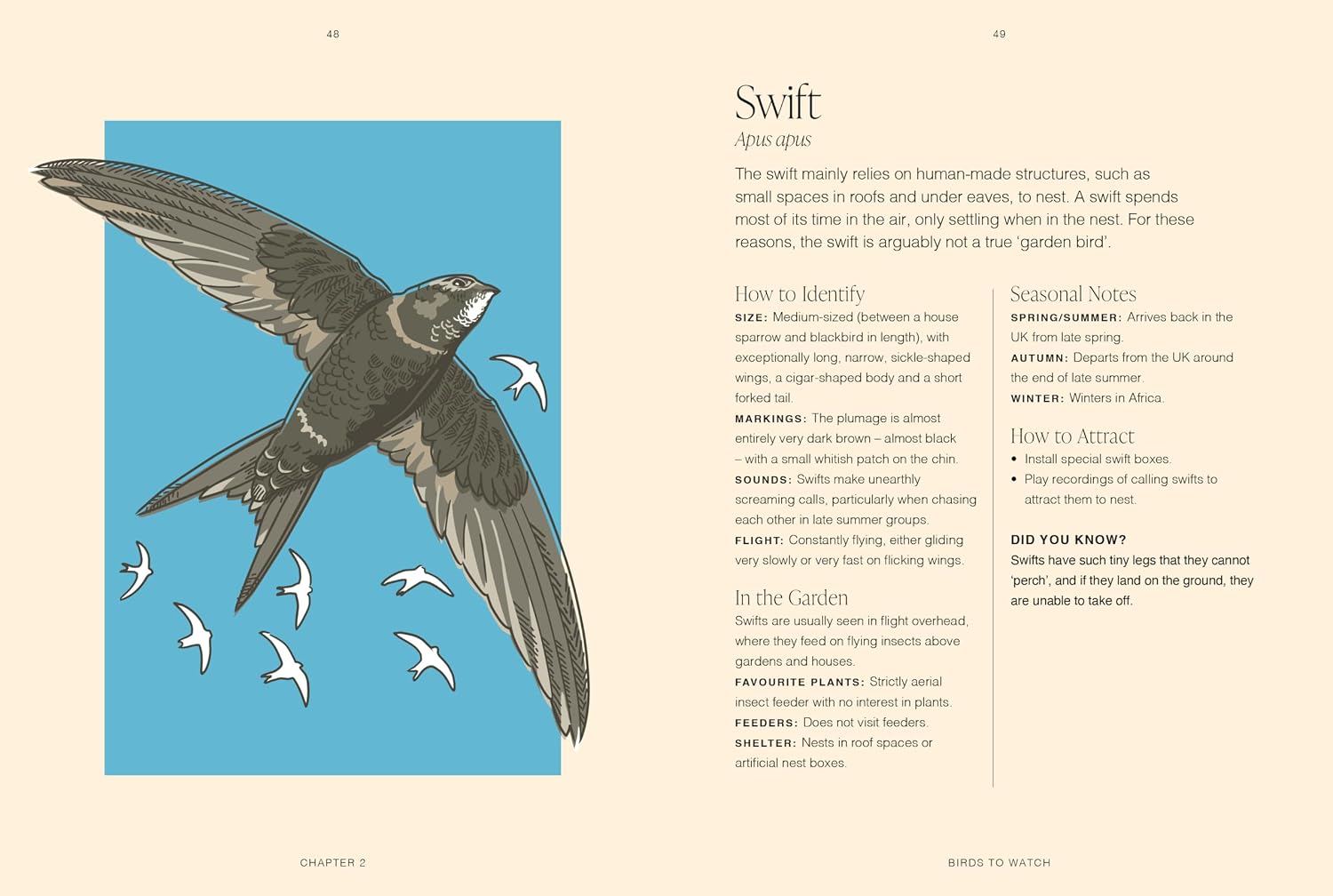 RHS Garden Birds, A Pocket Guide by Mike Weedon