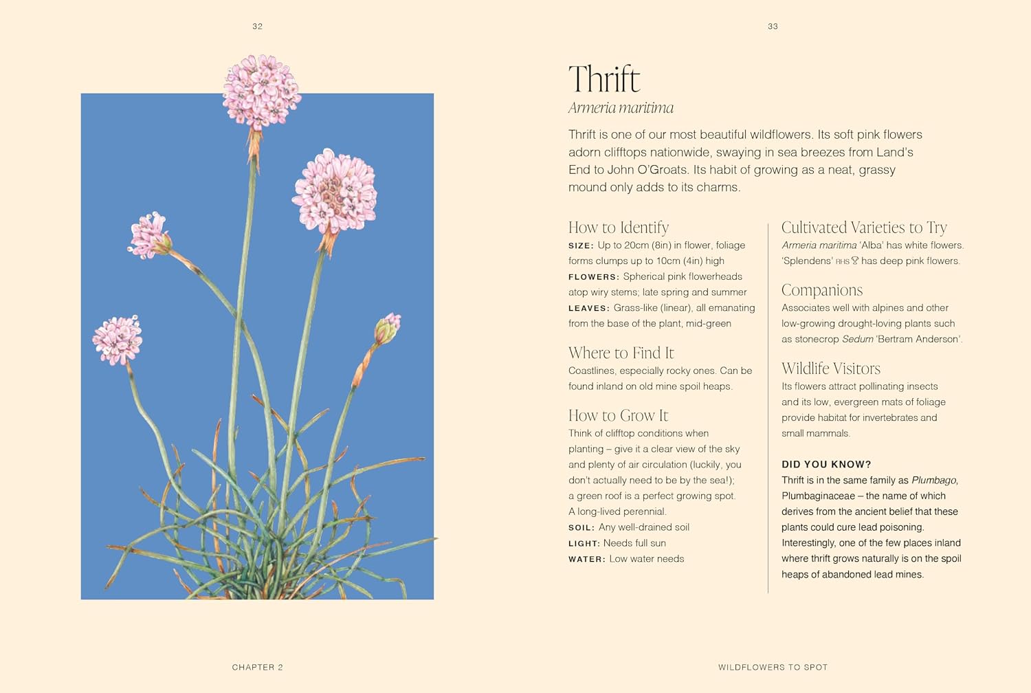 RHS Wildflowers, A Pocket Guide by Gareth Richards