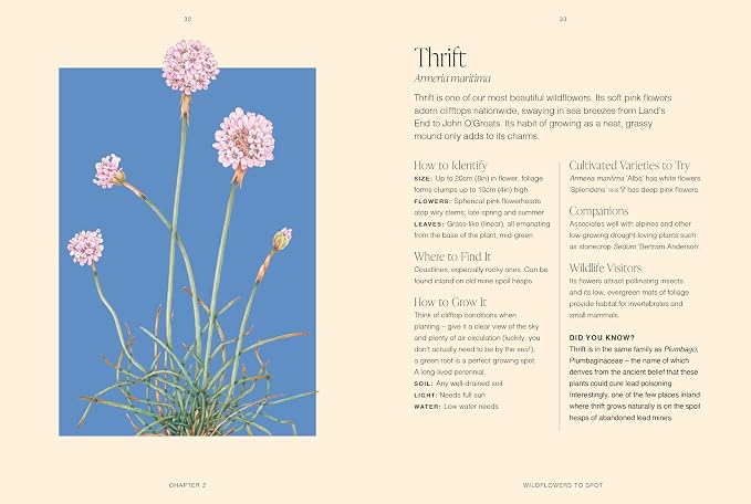 RHS Wildflowers, A Pocket Guide by Gareth Richards