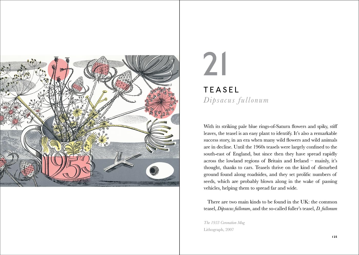The Book of Wild Flowers by Angie Lewin and Christopher Stocks