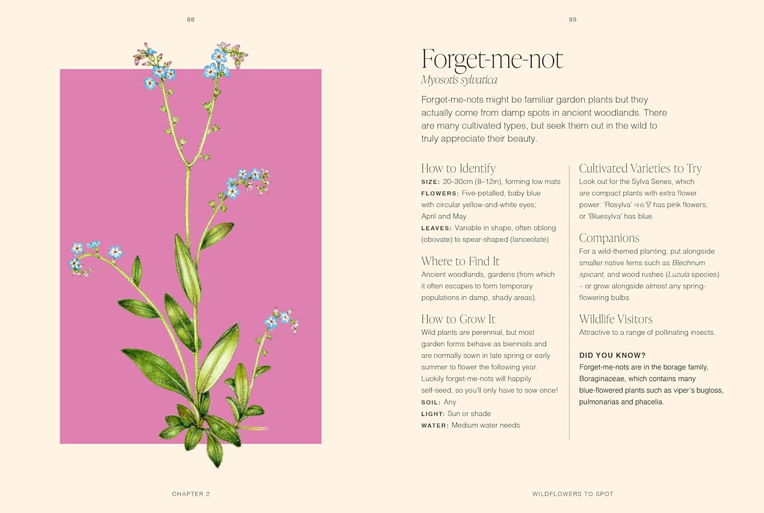 RHS Wildflowers, A Pocket Guide by Gareth Richards