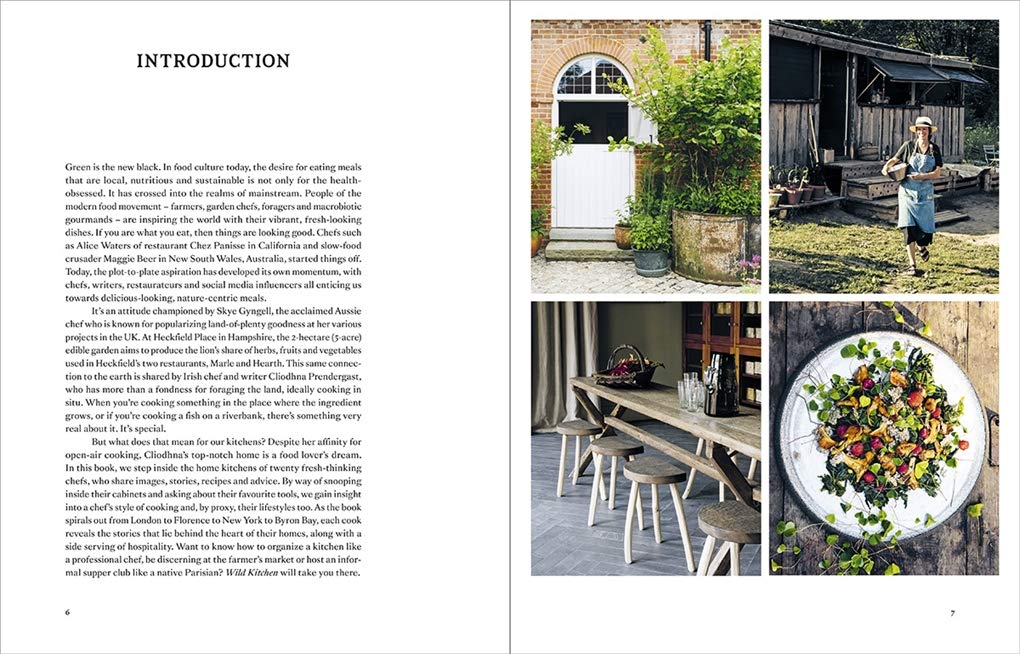 Wild Kitchen by Claire Bingham