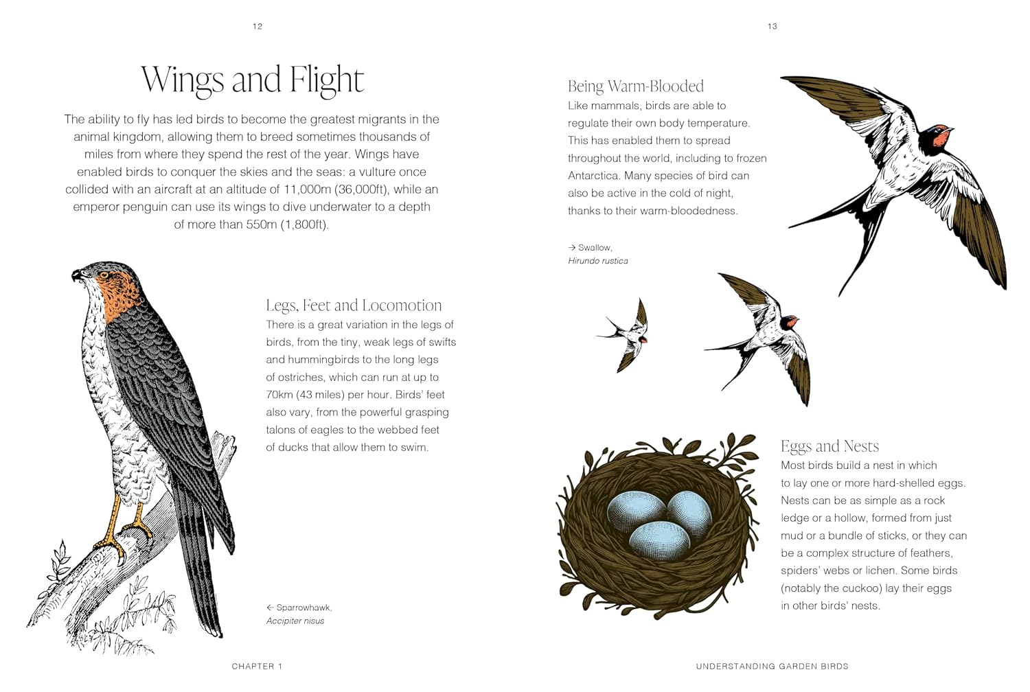RHS Garden Birds, A Pocket Guide by Mike Weedon