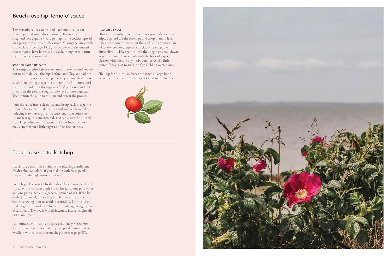 The Coastal Forager, Wild maritime food to preserve, cook and eat, by Mark Williams