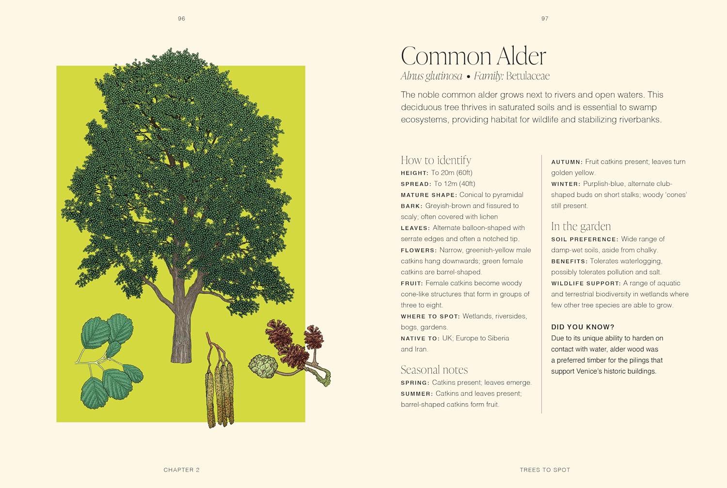 RHS Garden Trees, A Pocket Guide by Elisabeth K Larsen & Jordan Bilsborrow