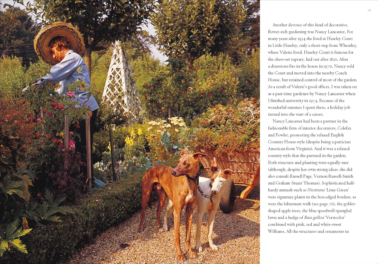 Woman in a garden with dogs and a cart, surrounded by lush greenery and flowers.