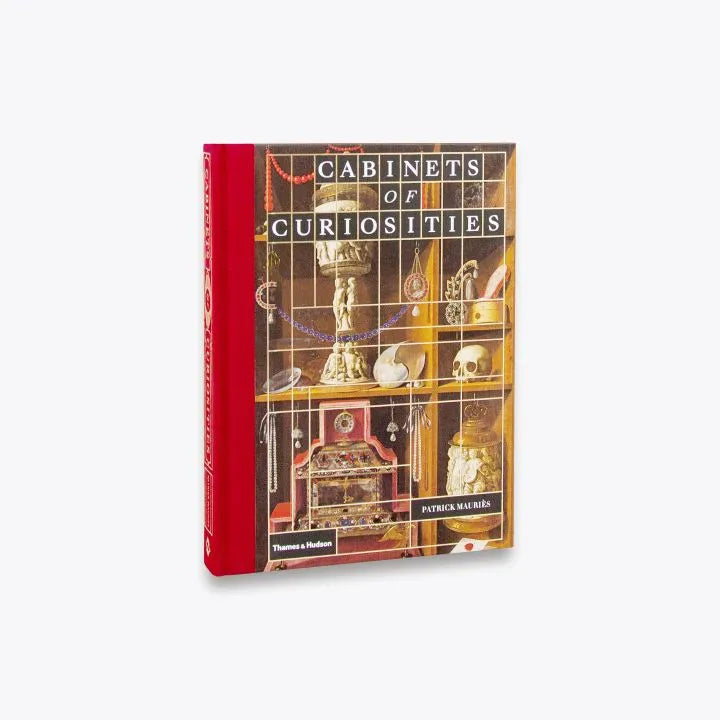 Cabinets Of Curiosities by Patrick Mauriès