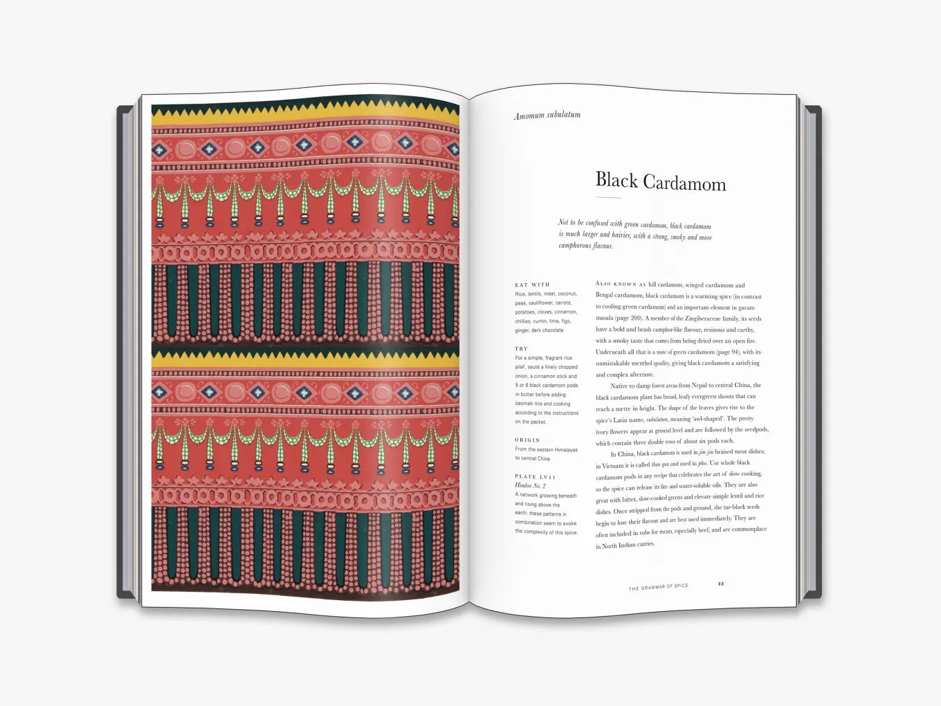 The Grammar of Spice, by Caz Hildebrand