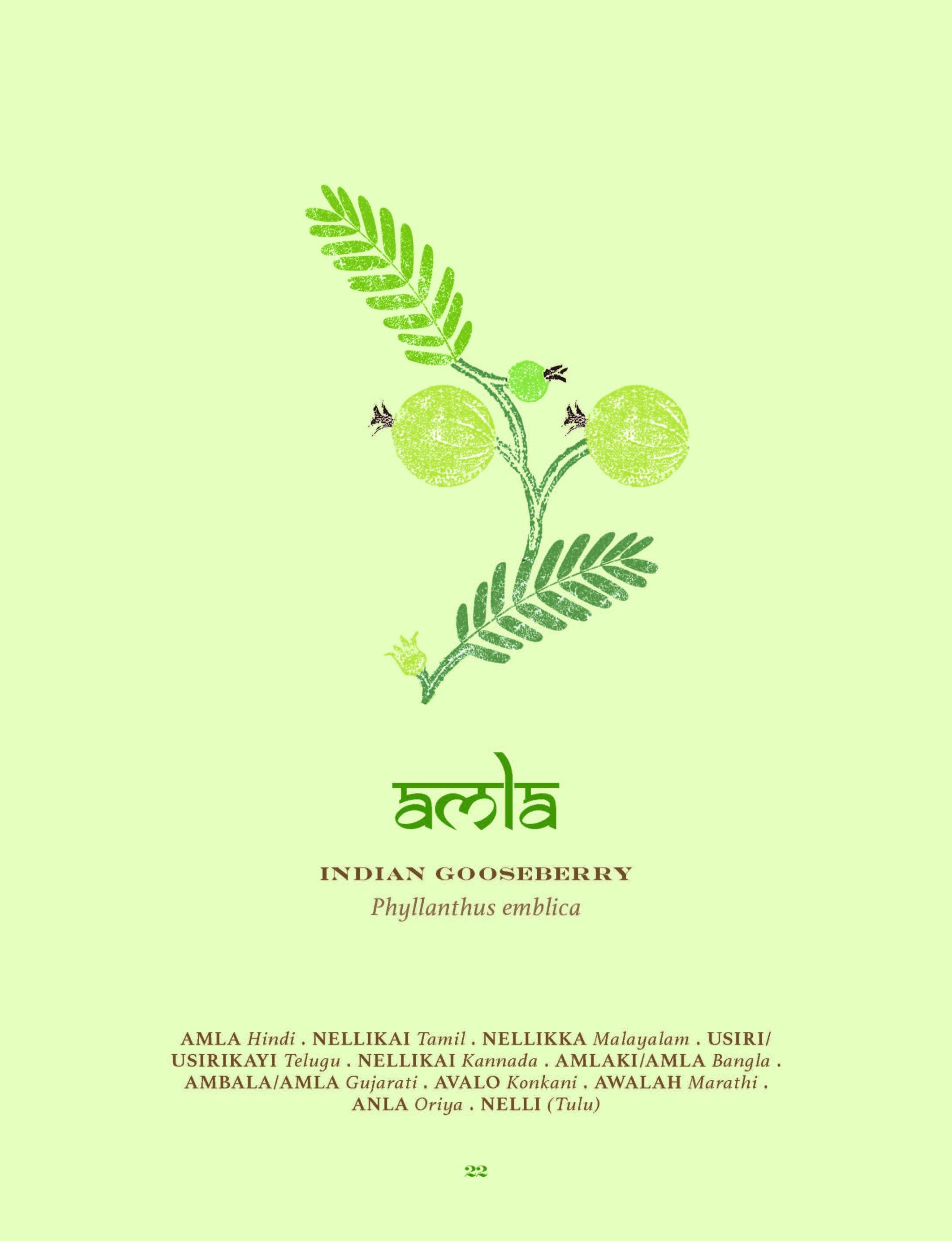 The Herbal Sutra, Indian Wisdom & Wellness Through 100 Herbs by Madhulika Banerjee