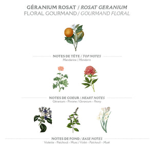Diagram of floral notes for Rosat Geranium with illustrations of flowers and mandarin orange.