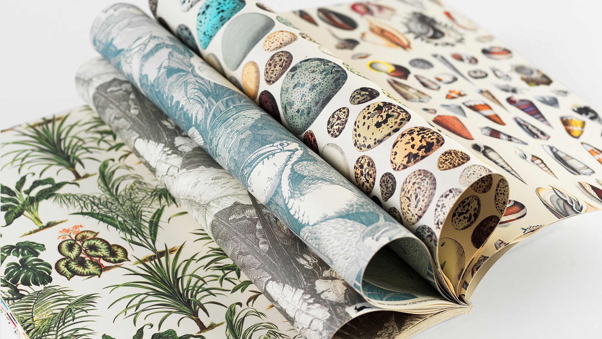 Wrapping Paper Book Natural History