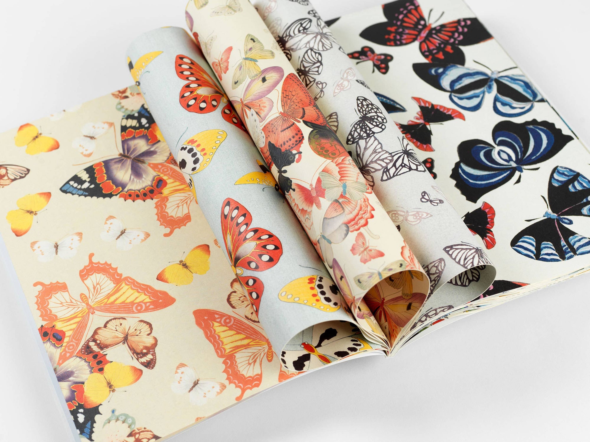 Wrapping Paper Japanese Butterflies Gift & Creative Paper Book