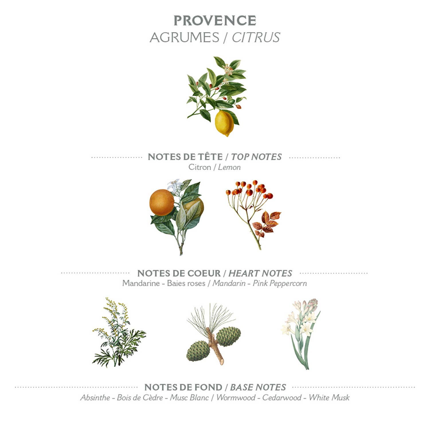 Panier Des Sens Soothing Provence Hand Cream