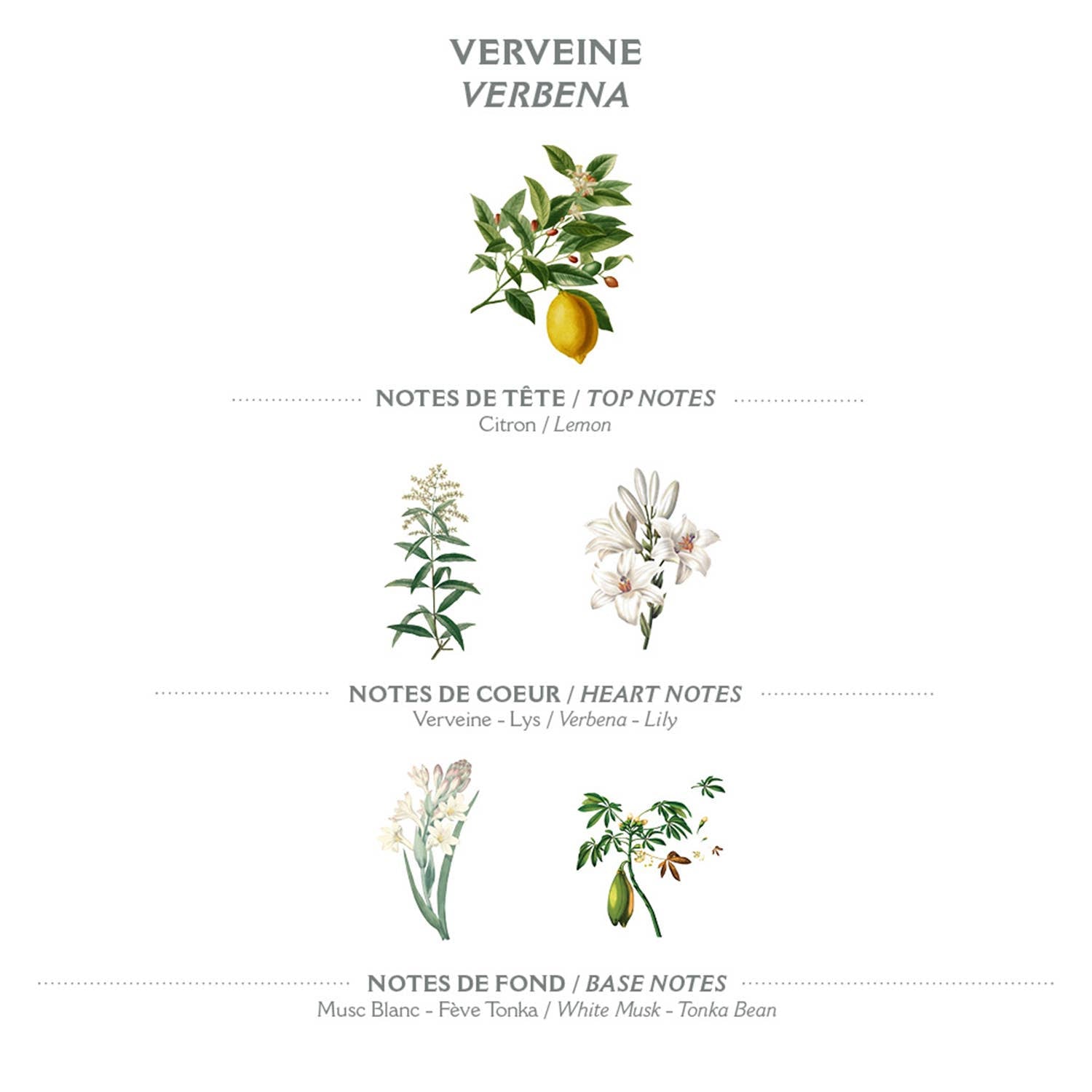 Panier Des Sens Energising Verbena Hand Cream