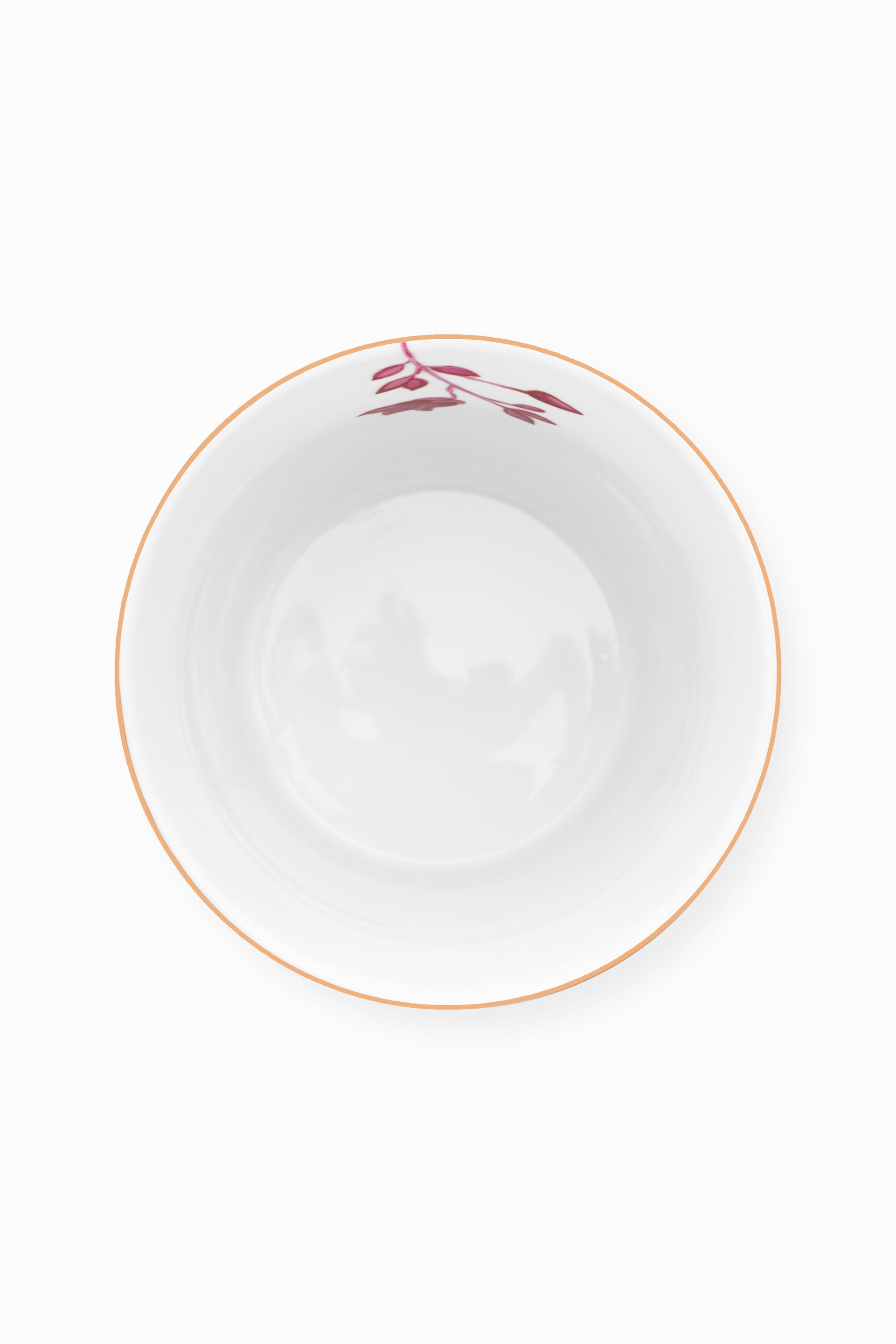 inside view of white china cup